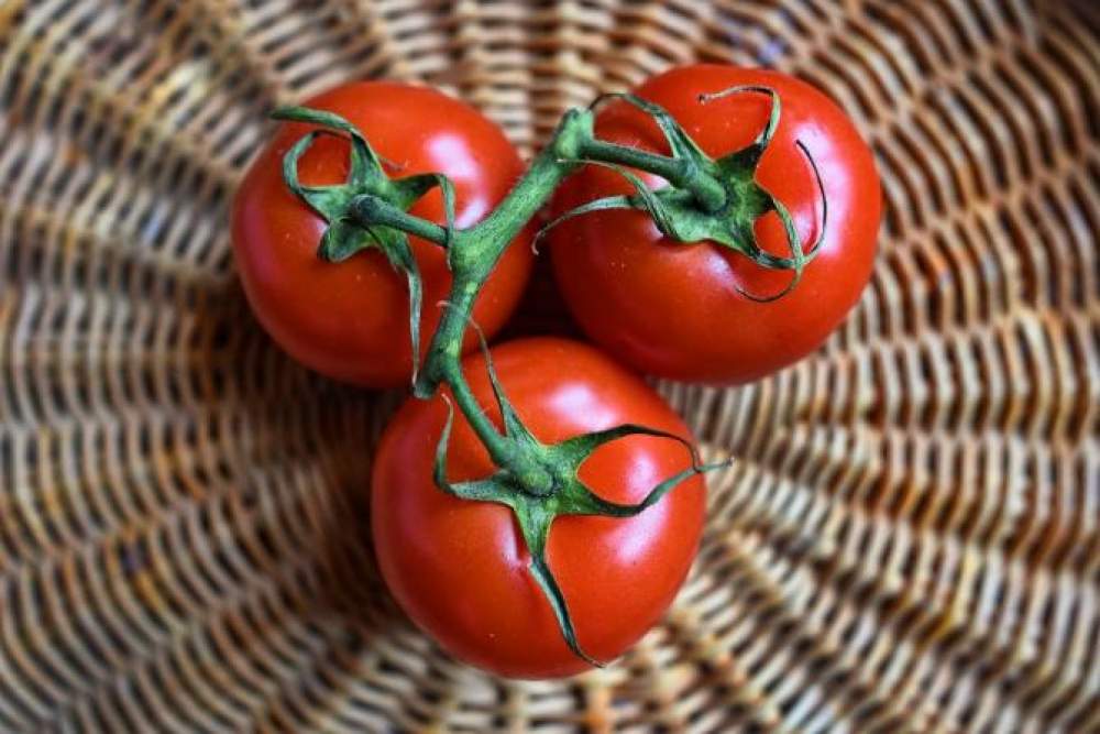 ¿Debemos meter los tomates en la nevera?
