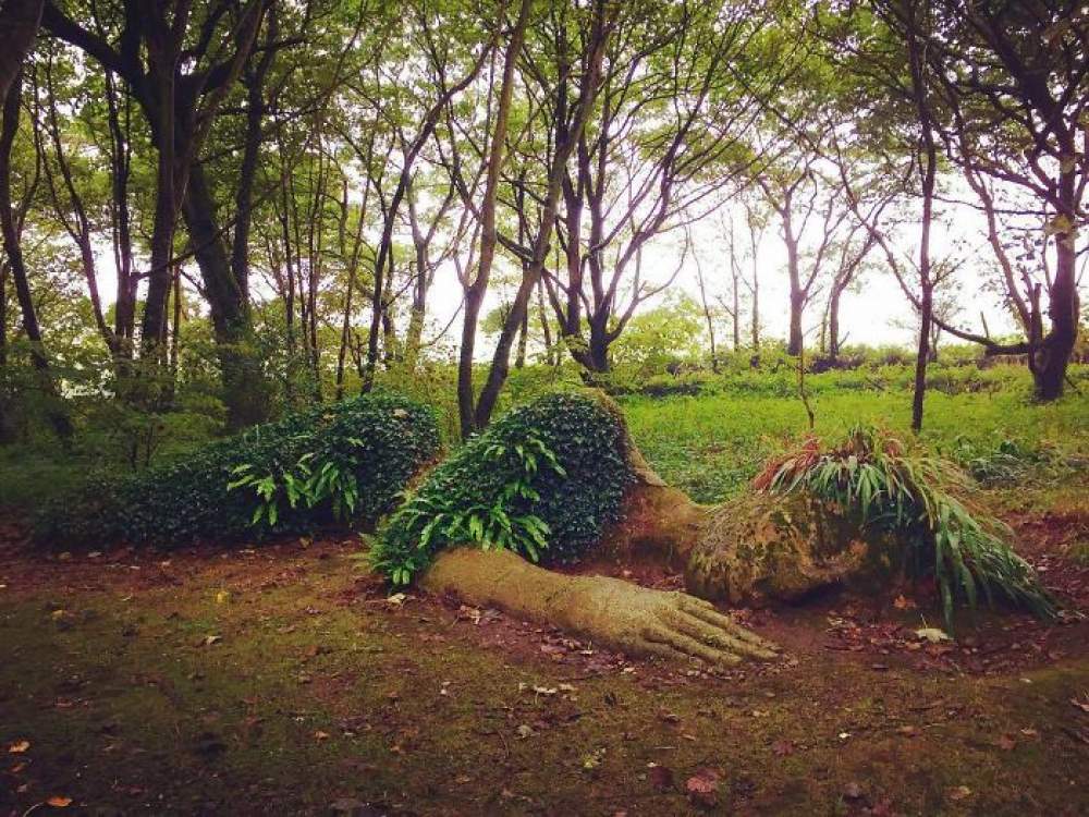  Los jardines perdidos de Heligan