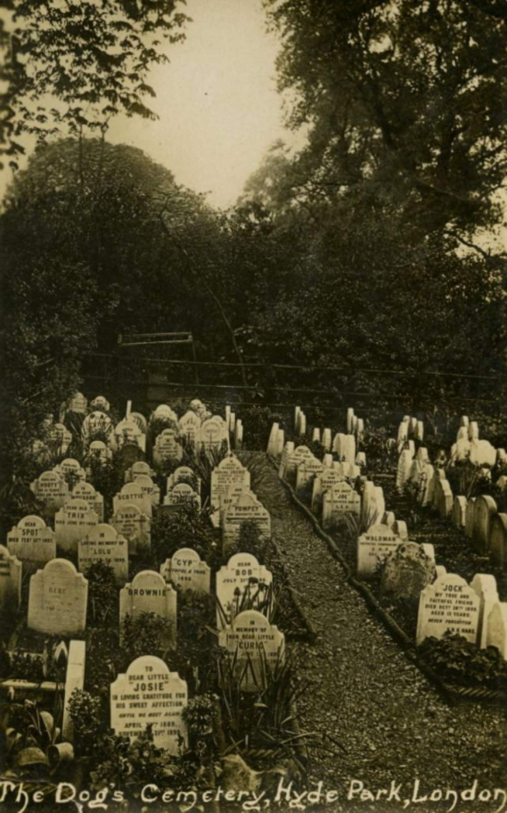 El cementerio de perros de Hyde Park