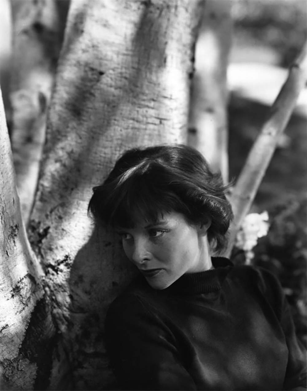 Impresionantes fotos de  Katharine Hepburn