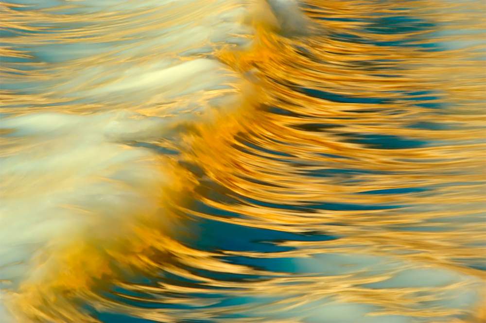 Fotógrafo de naturaleza GDT 2020