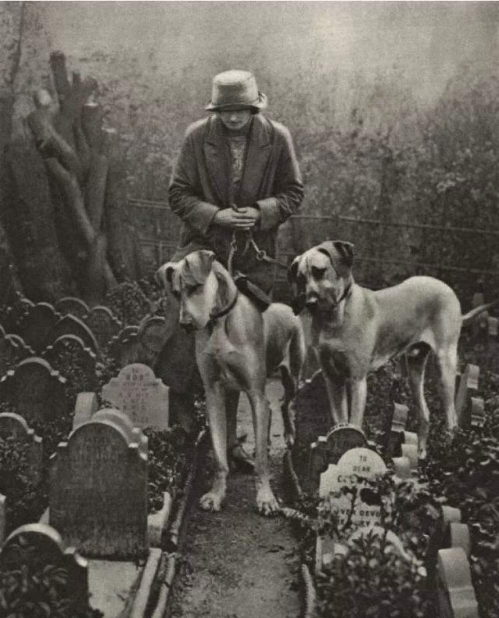 El cementerio de perros de Hyde Park