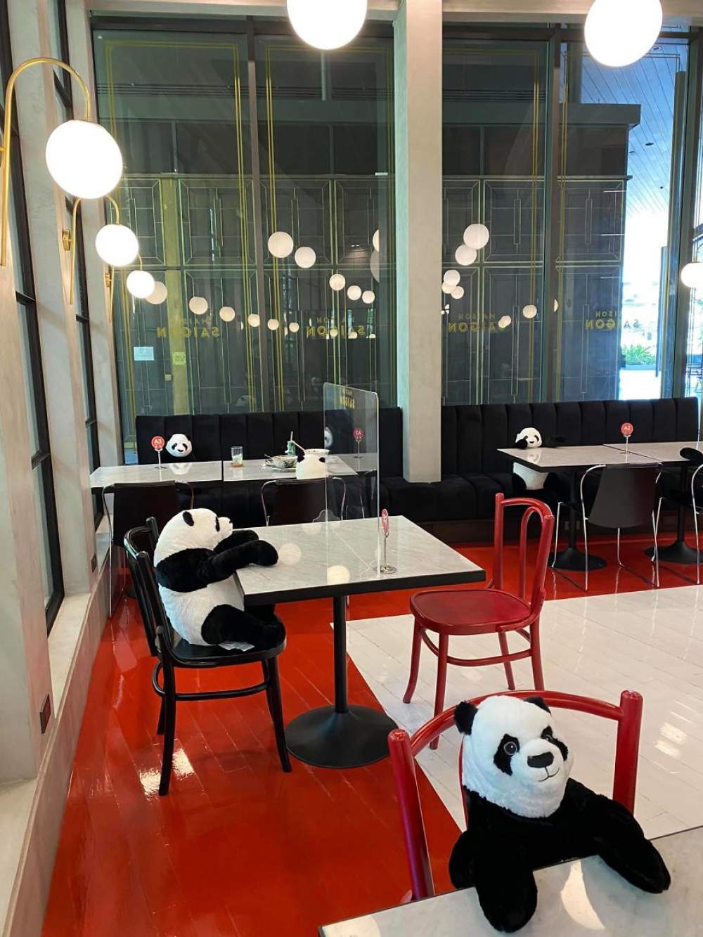 Pandas ocupan restaurante 