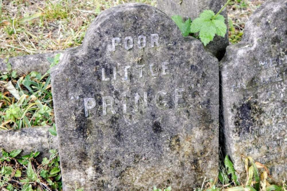 El cementerio de perros de Hyde Park