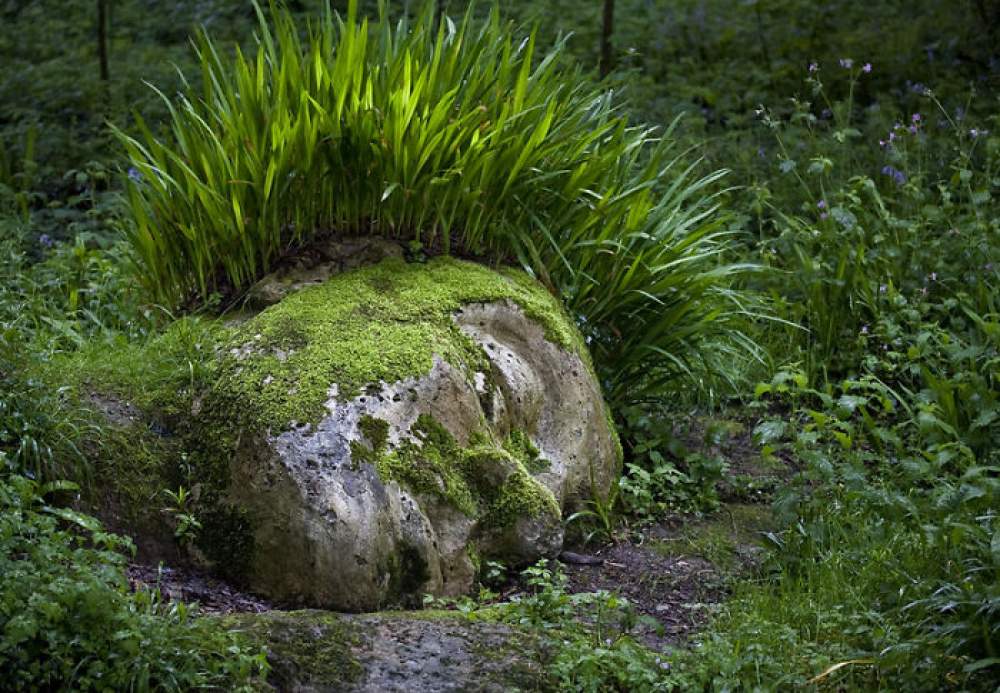  Los jardines perdidos de Heligan