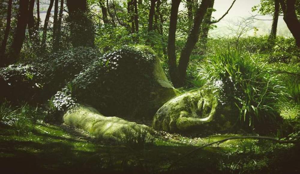  Los jardines perdidos de Heligan