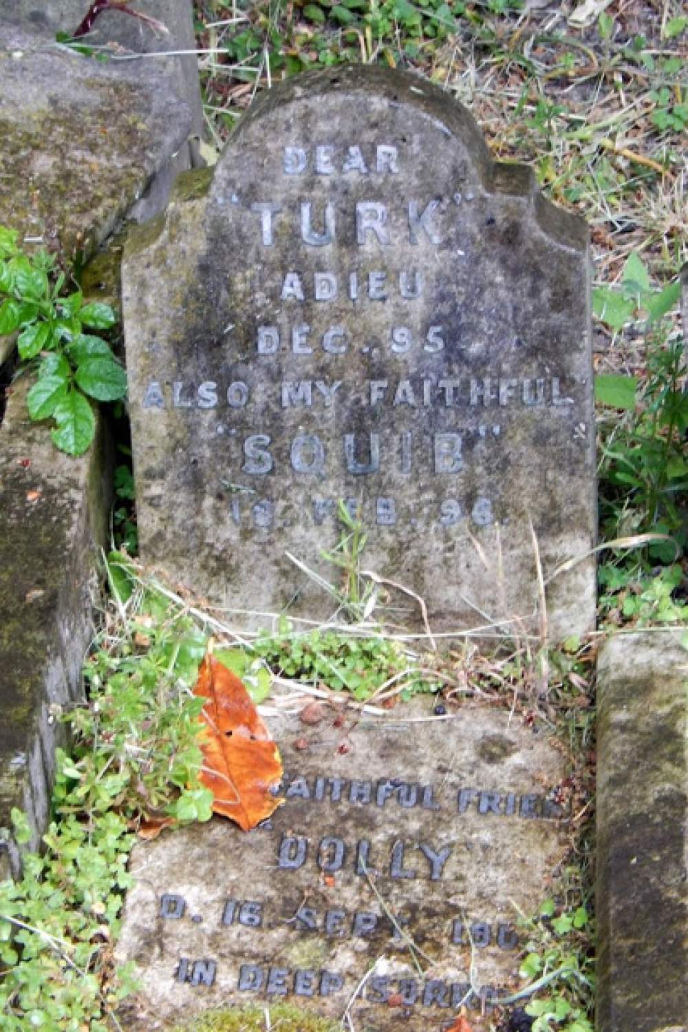 El cementerio de perros de Hyde Park