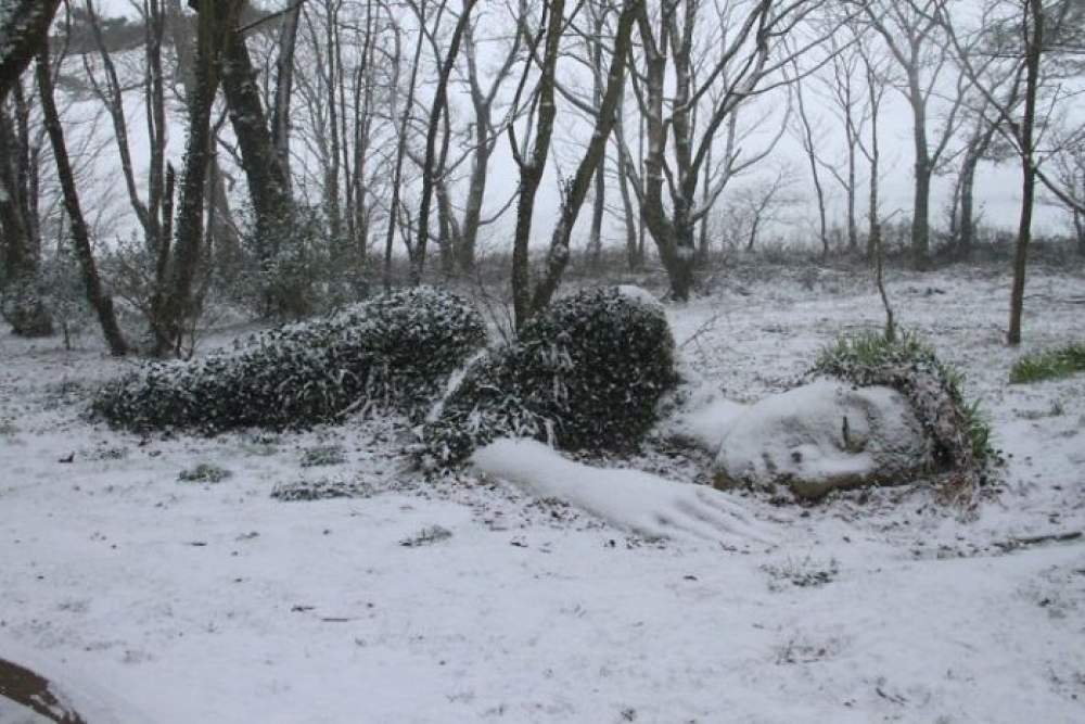  Los jardines perdidos de Heligan