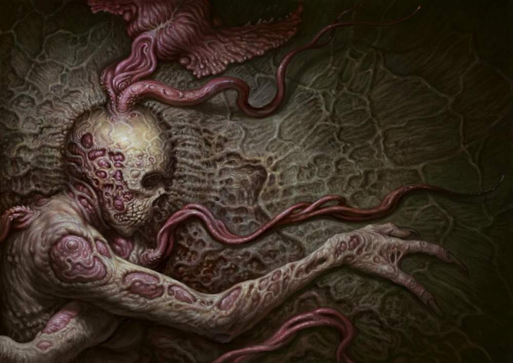 Scorn