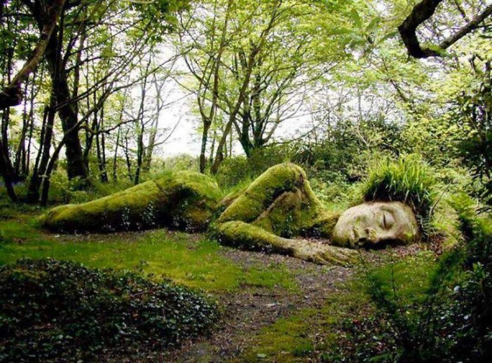  Los jardines perdidos de Heligan