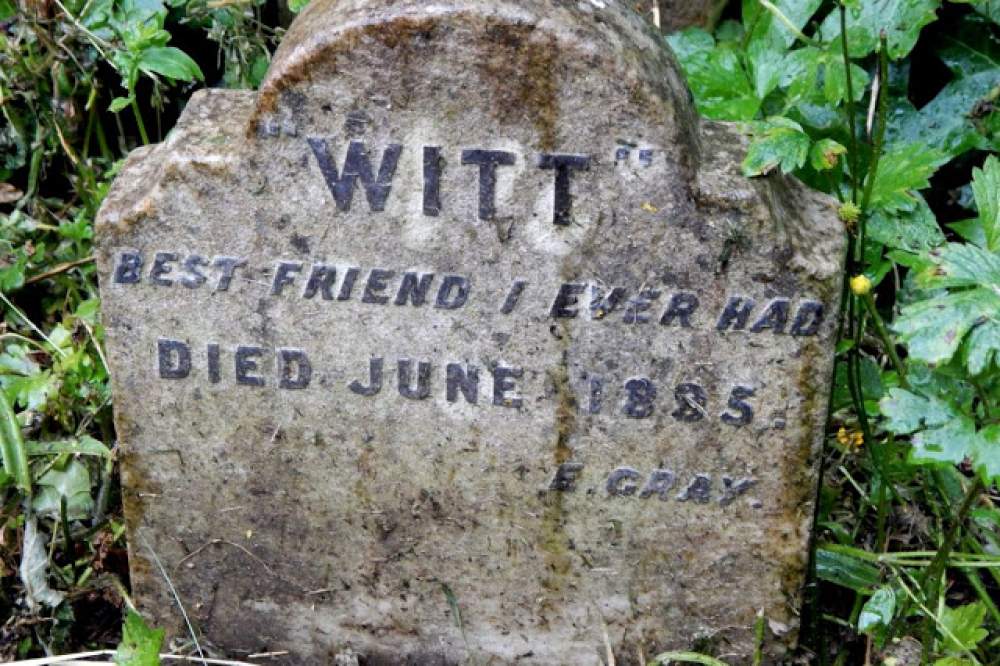 El cementerio de perros de Hyde Park