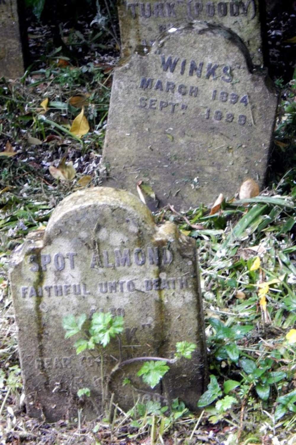 El cementerio de perros de Hyde Park