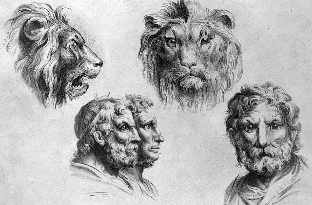 Las cabezas fisionómicas de Charles Le Brun
