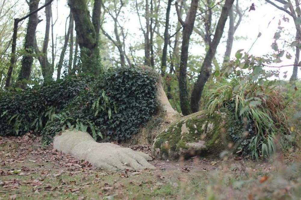  Los jardines perdidos de Heligan