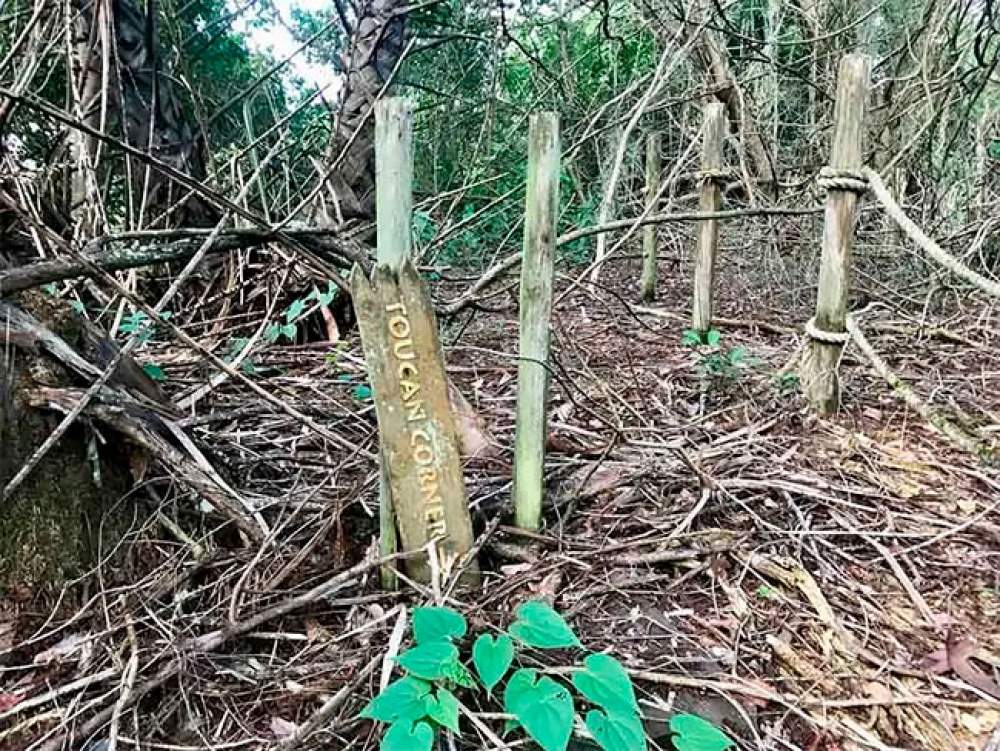 Hombre entra en la Isla del Tesoro de Disney