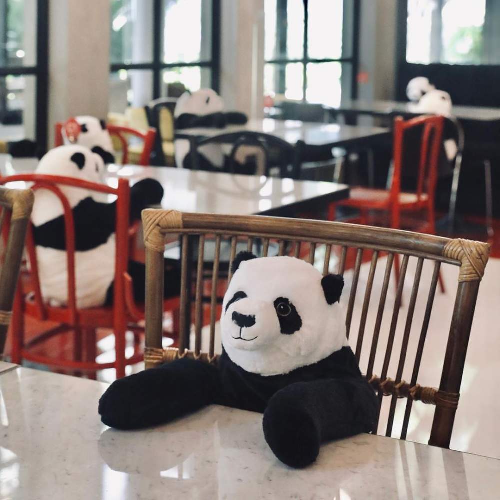 Pandas ocupan restaurante 