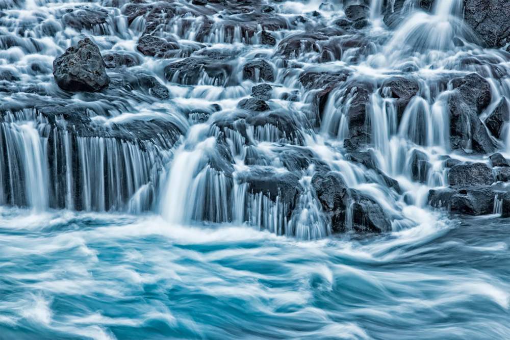 Fotógrafo de naturaleza GDT 2020