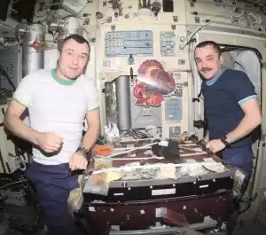 Celebraciones de Acción de Gracias en el espacio