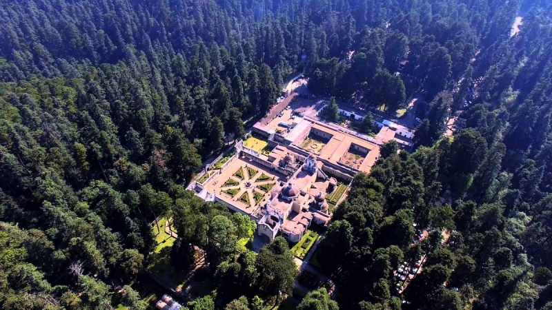 El bosque del Desierto de los Leones