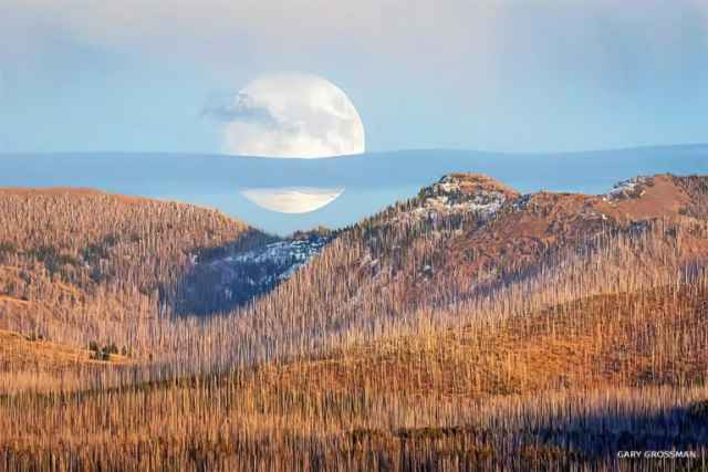 Ganadores del National Wildlife Photo Contest