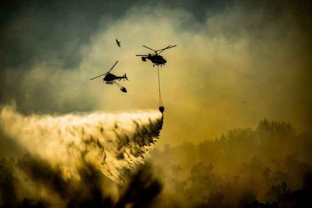 Fotografías ganadoras de los premios de conservación de la naturaleza