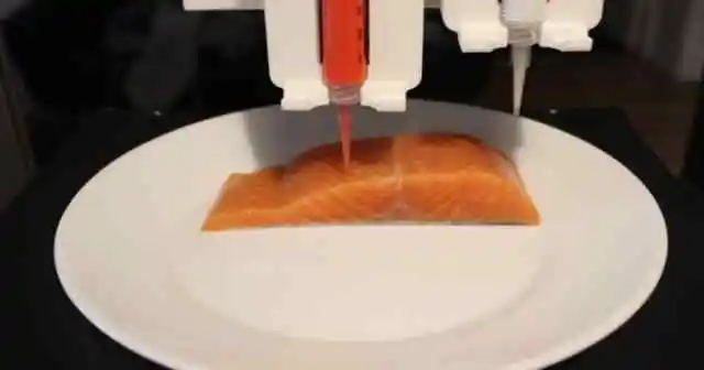 Logran imprimir en 3D un trozo de salmón y es comestible