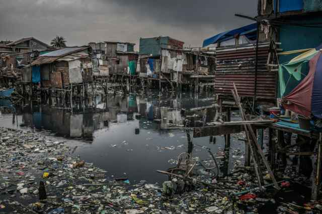 Ganadores de los premios Mangrove de fotografía