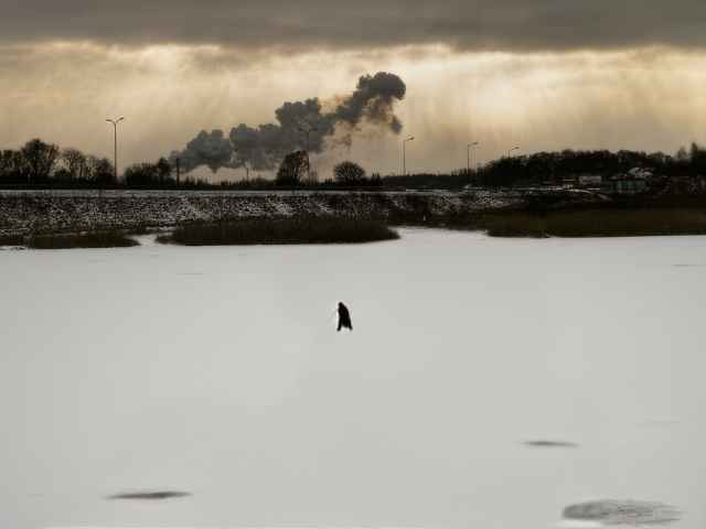 Fotografías impresionantes de los Urban Photo Awards