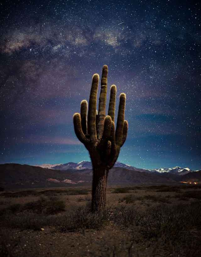 Fotografías ganadoras de los premios de conservación de la naturaleza