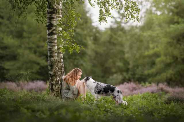 Las mejores fotografías de perros del 2023