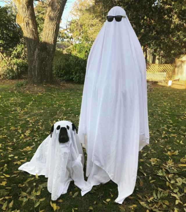 Disfraz de Halloween para humanos perezosos