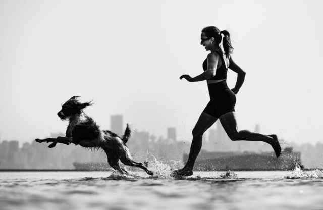 Las mejores fotografías de perros del 2023