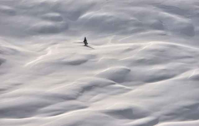 Fotografías ganadoras de los premios de conservación de la naturaleza