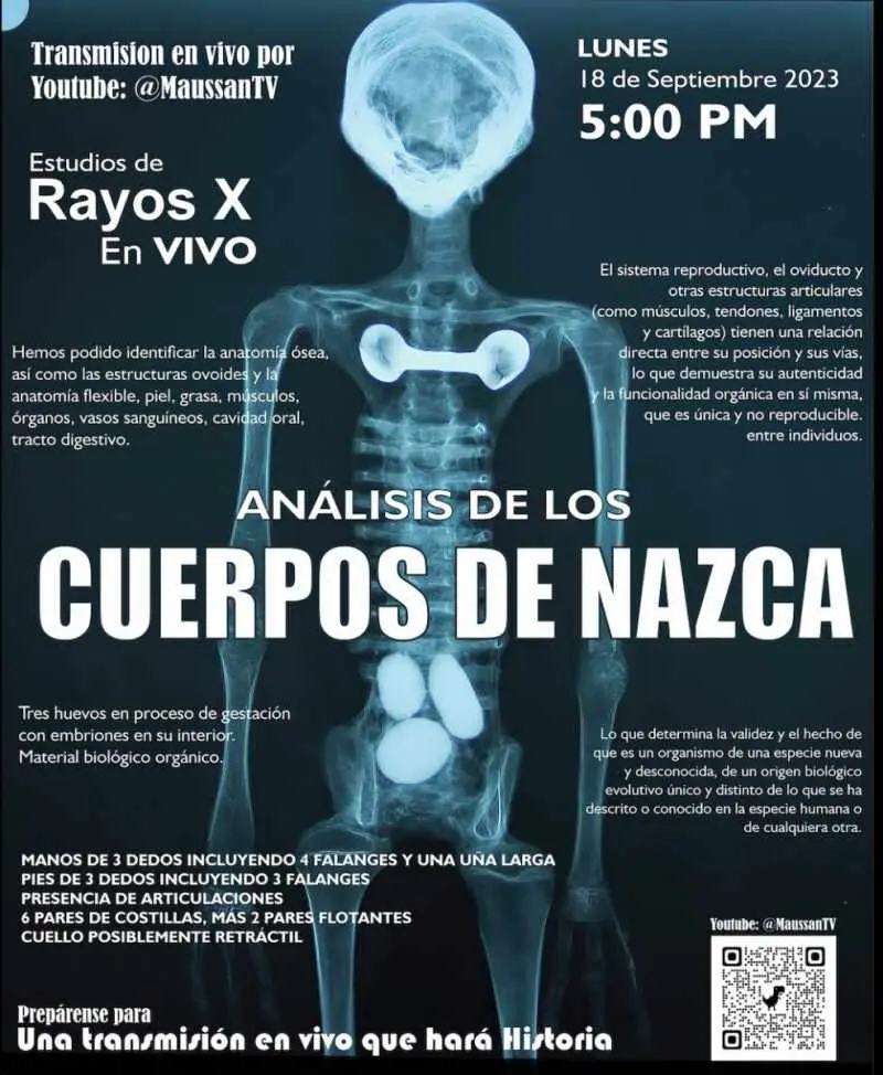 Análisis de Rayos X y Tomografías a cuerpos biológicos de Nazca