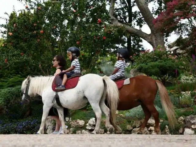 París prohibirá los paseos en poni para niños