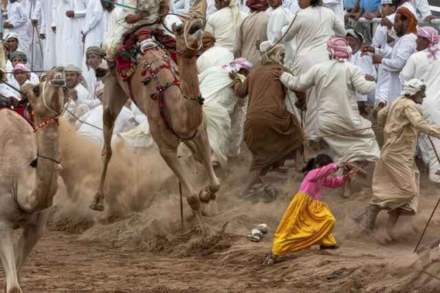 Ganadores de los premios de fotografía HIPA 2024