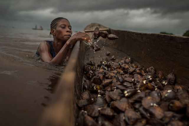 Ganadores de los premios Mangrove de fotografía