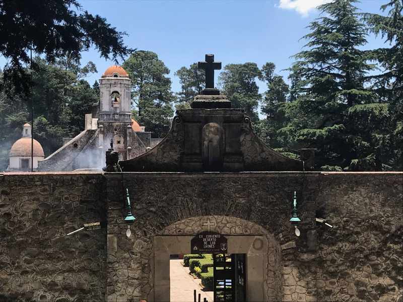 El bosque del Desierto de los Leones