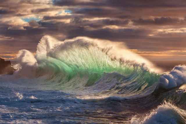 Fotografías ganadoras de los premios de conservación de la naturaleza