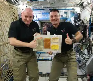 Celebraciones de Acción de Gracias en el espacio