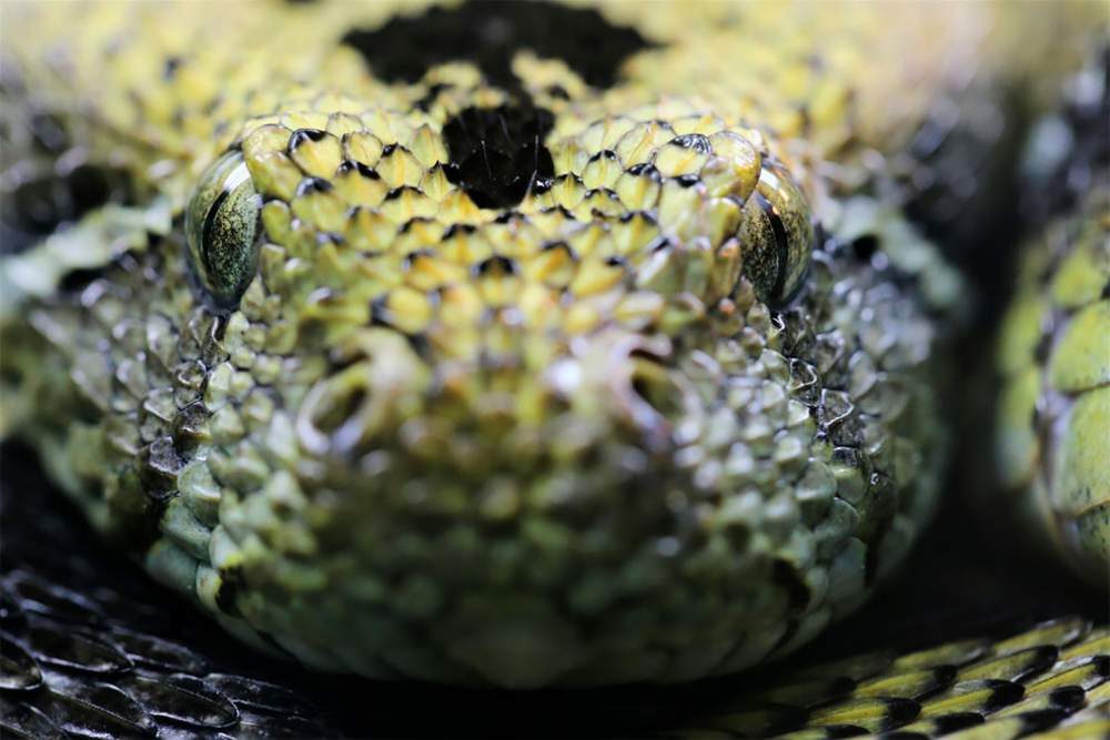 Mejores fotos de Zoológicos y Acuarios