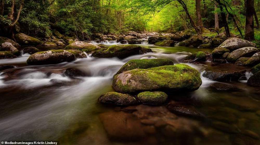 Finalistas del National Parks Photo Contest