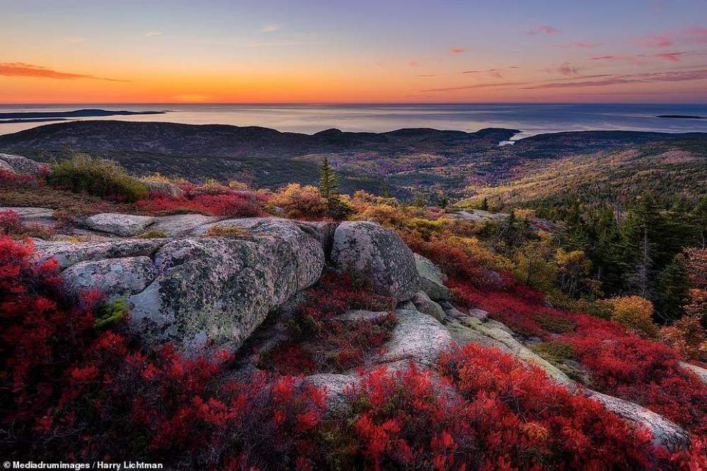 Finalistas del National Parks Photo Contest