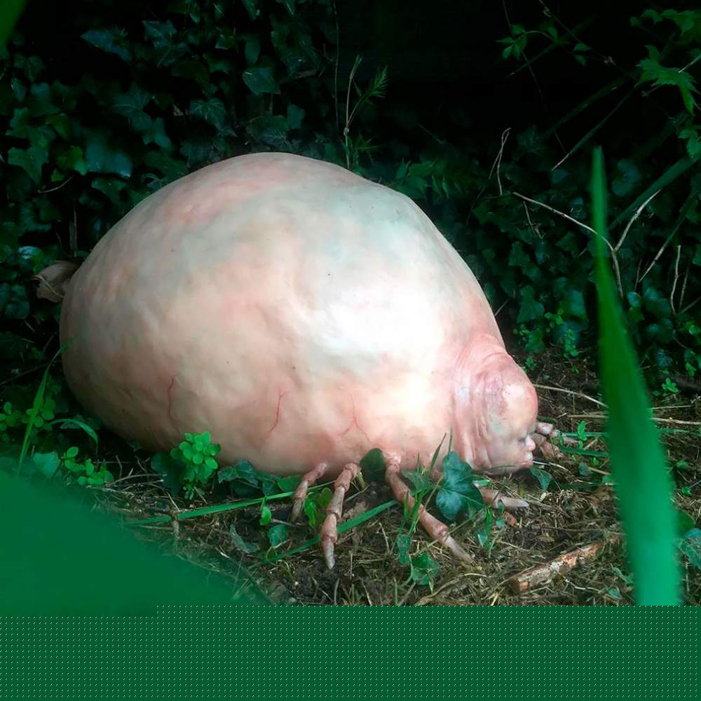 Espeluznantes criaturas de Laira Maganuco