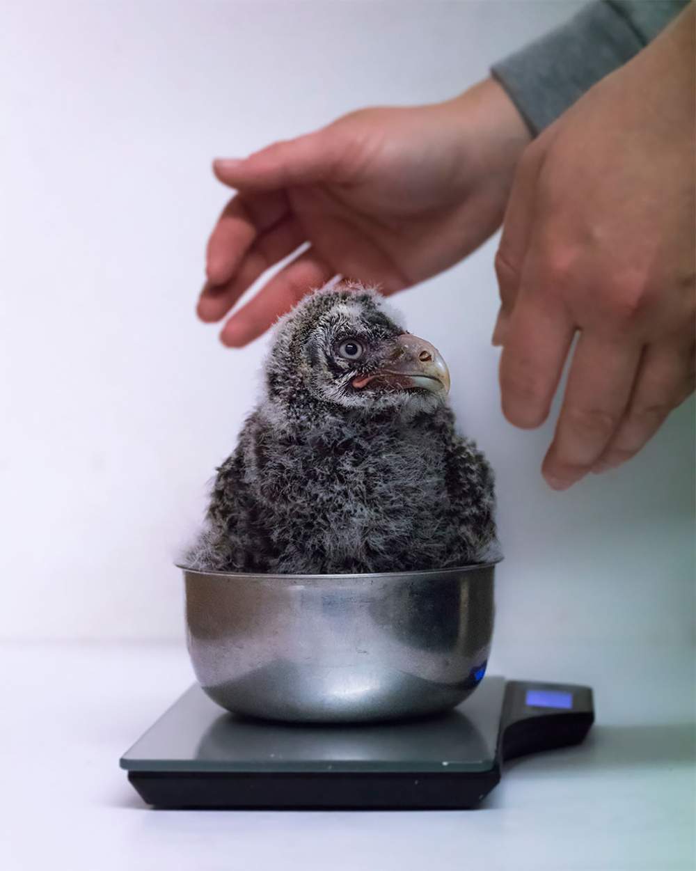 Mejores fotos de Zoológicos y Acuarios