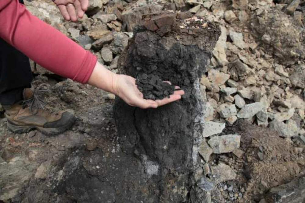 ¿Combustión de carbón en la peor extinción de la Tierra?