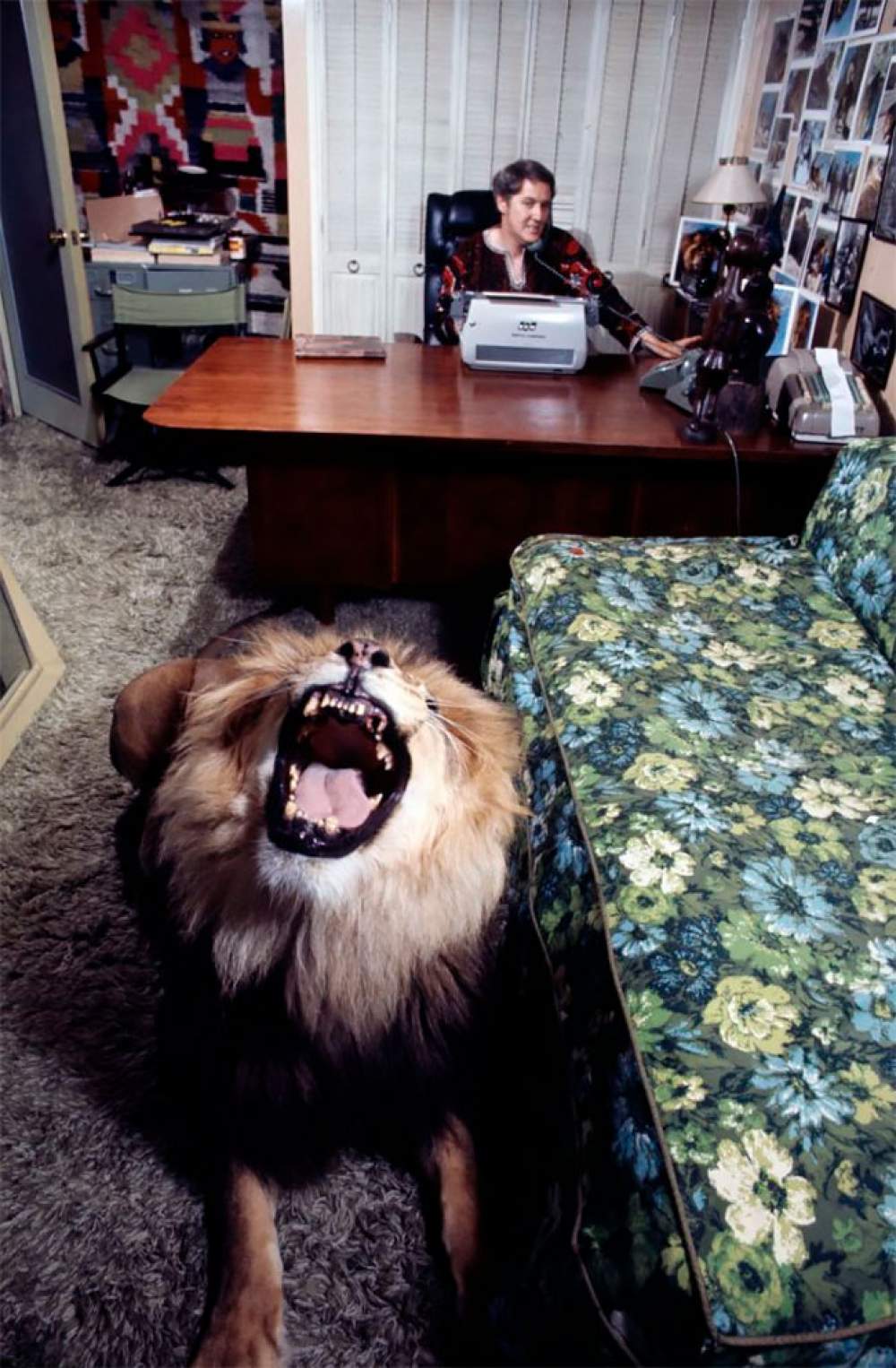 Neil, mascota de Tippi Hedren 