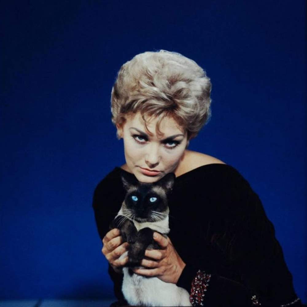 Kim Novak en Bell, Book and Candle