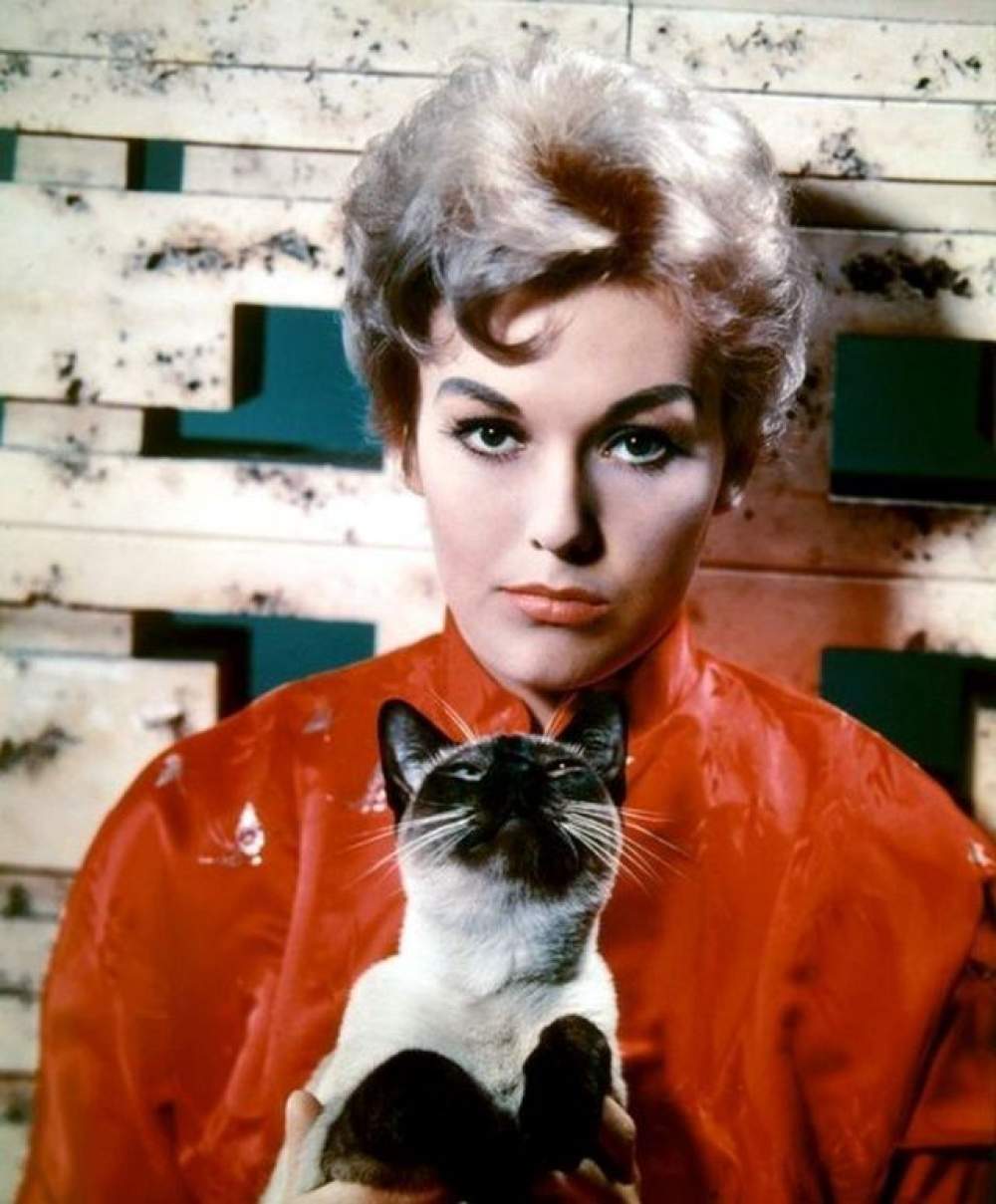 Kim Novak en Bell, Book and Candle