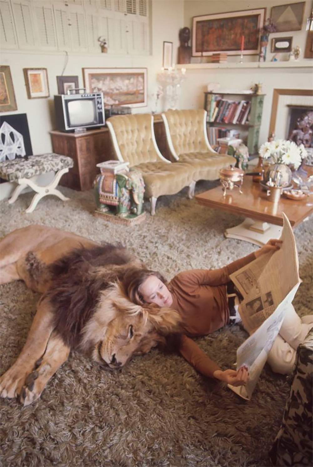 Neil, mascota de Tippi Hedren 
